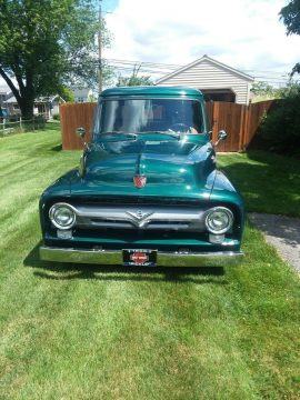 1955 Ford F 100 for sale